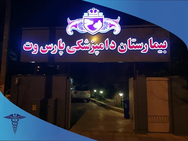 دامپزشکی پارس وت برای فیزیوتراپی حیوانات در شیراز