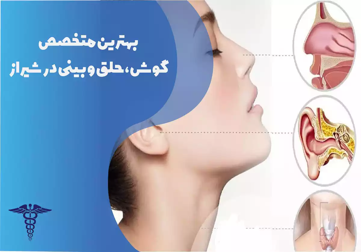 بهترین متخصص گوش، حلق و بینی در شیراز