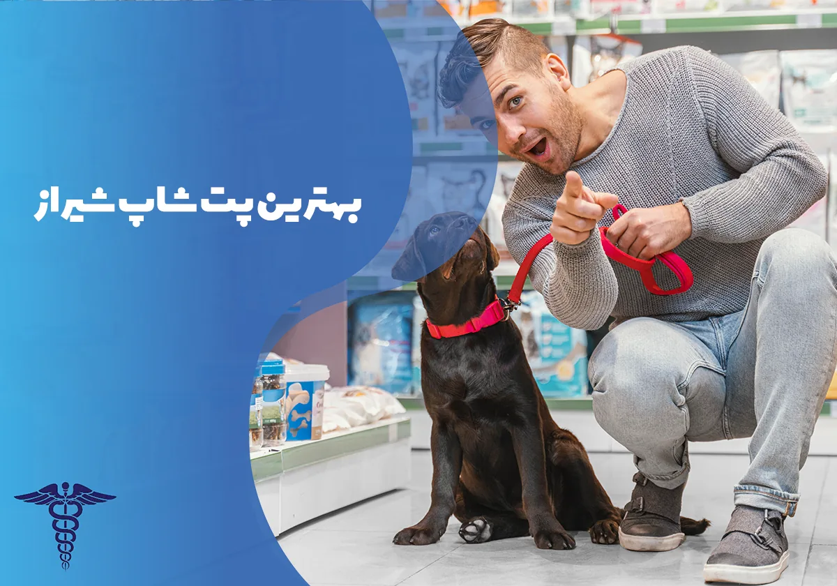 معرفی 12 مرکز برتر پت شاپ در شیراز – بهترین پت شاپ شیراز کجاست؟