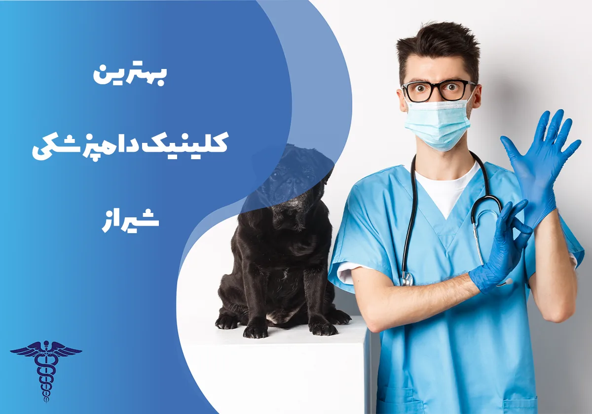 معرفی 12 کلینیک برتر دامپزشکی در شیراز – بهترین کلینیک دامپزشکی شیراز کجاست؟