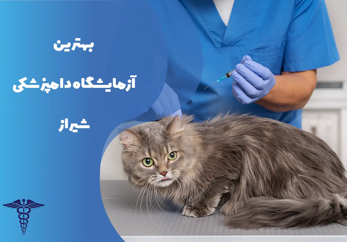 معرفی 12 آزمایشگاه برتر دامپزشکی در شیراز – بهترین آزمایشگاه دامپزشکی شیراز کجاست؟