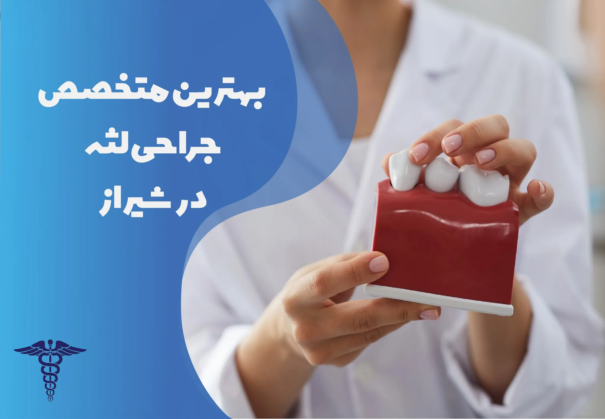 معرفی 20 متخصص لثه در شیراز- بهترین متخصص لثه در شیراز کیست؟
