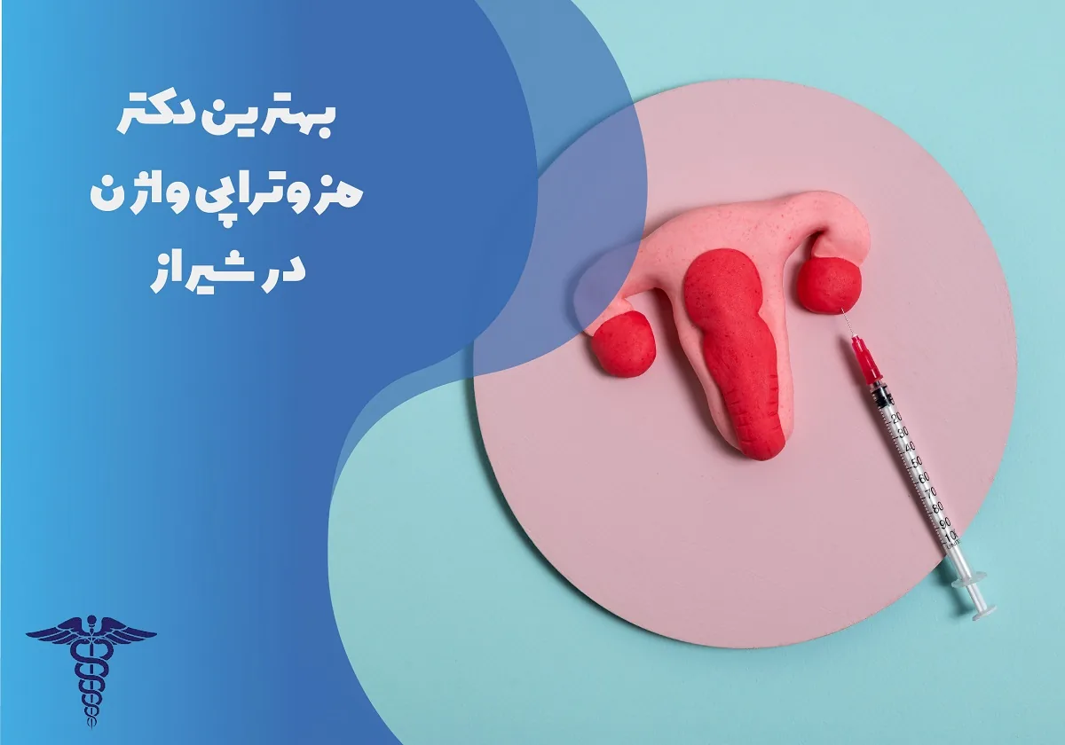 معرفی 12 دکتر برتر مزوتراپی واژن در شیراز – بهترین دکتر مزوتراپی واژن شیراز کیست؟